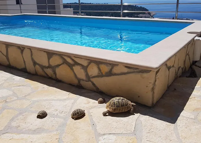 Sukara מאקרסקה